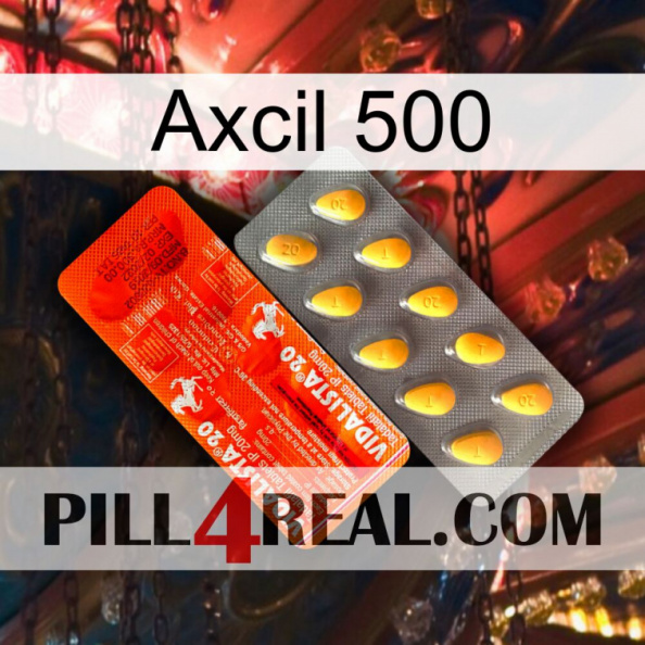 Axcil 500 new01.jpg